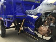 Self Discharging Engine 250cc Bensin Roda Tiga